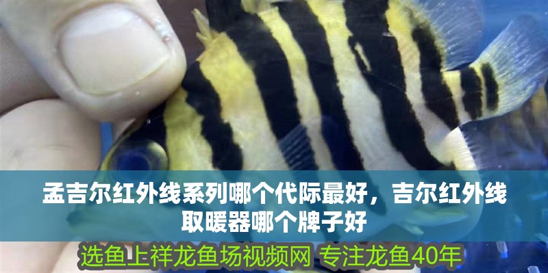 孟吉爾紅外線系列哪個代際最好，吉爾紅外線取暖器哪個牌子好