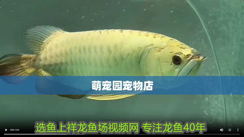 萌寵園寵物店 萌寵園寵物店 全國水族館企業名錄 第1張