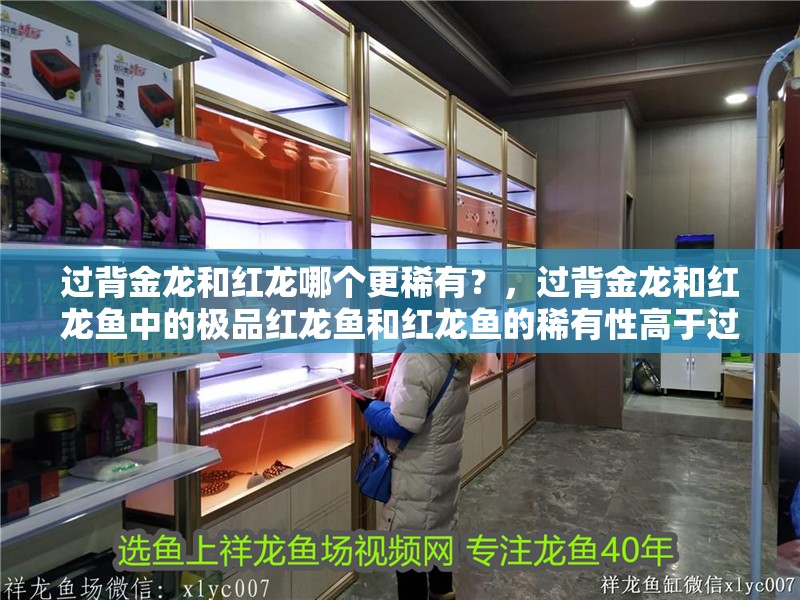 魚缸用增氧泵價(jià)格是多少:魚缸增氧機(jī)-xtrac增氧機(jī)-xtrac增氧機(jī) 過(guò)背金龍和紅龍哪個(gè)更稀有?,過(guò)背金龍和紅龍魚中的極品紅龍魚和紅龍魚的稀有性高于過(guò)背 龍魚百科 過(guò)背金龍和紅龍哪個(gè)更稀有?,過(guò)背金龍和紅龍魚中的極品紅龍魚和紅龍魚的稀有性高于過(guò)背 過(guò)背金龍和紅龍哪個(gè)更稀有?,過(guò)背金龍和紅龍魚中的極品紅龍魚和紅龍魚的稀有性高于過(guò)背 龍魚百科