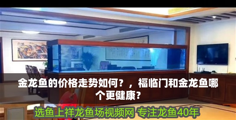 金龍魚的價格走勢如何？，福臨門和金龍魚哪個更健康？ 金龍魚的價格走勢如何？，福臨門和金龍魚哪個更健康？ 龍魚百科