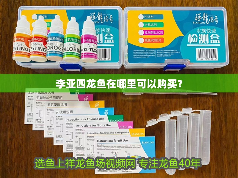 李亞四龍魚在哪里可以購買？