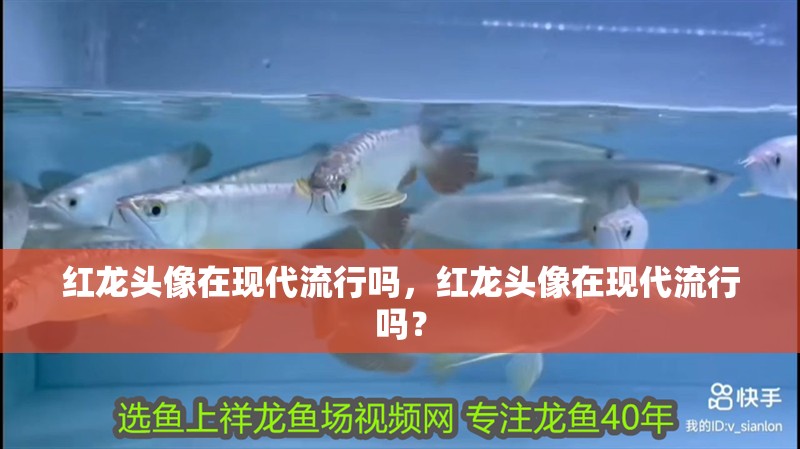 紅龍頭像在現代流行嗎，紅龍頭像在現代流行嗎？ 紅龍頭像在現代流行嗎，紅龍頭像在現代流行嗎？ 龍魚百科