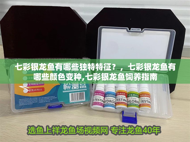 七彩銀龍魚有哪些獨特特征？，七彩銀龍魚有哪些顏色變種,七彩銀龍魚飼養指南 七彩銀龍魚有哪些獨特特征？，七彩銀龍魚有哪些顏色變種,七彩銀龍魚飼養指南 龍魚百科