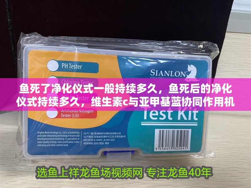 魚死了凈化儀式一般持續多久，魚死后的凈化儀式持續多久，維生素c與亞甲基藍協同作用機制