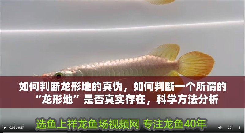 如何判斷龍形地的真偽，如何判斷一個所謂的“龍形地”是否真實存在，科學方法分析
