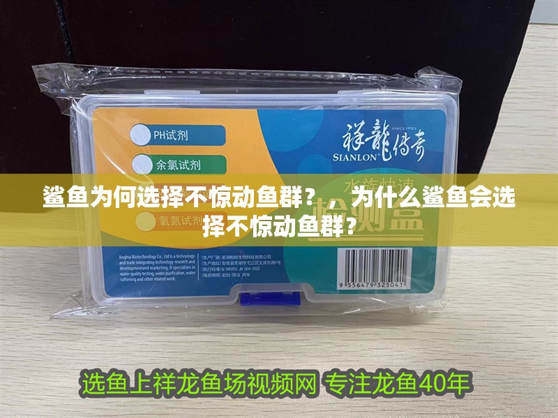鯊魚為何選擇不驚動魚群？，為什么鯊魚會選擇不驚動魚群？