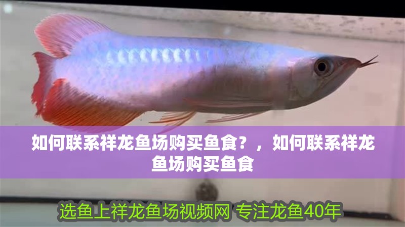 魚缸用增氧泵價格是多少:魚缸增氧機-xtrac增氧機-xtrac增氧機 如何聯系祥龍魚場購買魚食?,如何聯系祥龍魚場購買魚食 龍魚百科 如何聯系祥龍魚場購買魚食?,如何聯系祥龍魚場購買魚食 如何聯系祥龍魚場購買魚食?,如何聯系祥龍魚場購買魚食 龍魚百科