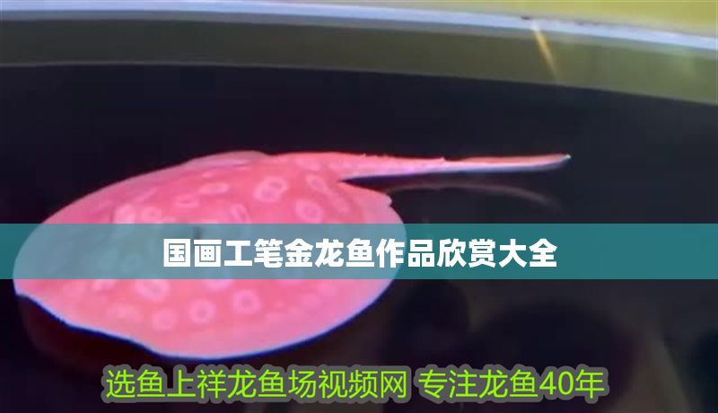 國畫工筆金龍魚作品欣賞大全