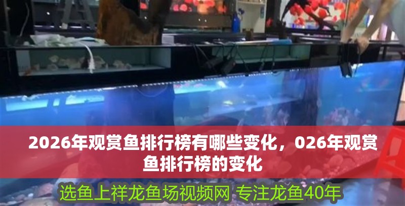 2026年觀賞魚排行榜有哪些變化，026年觀賞魚排行榜的變化 2026年觀賞魚排行榜有哪些變化，026年觀賞魚排行榜的變化 龍魚百科