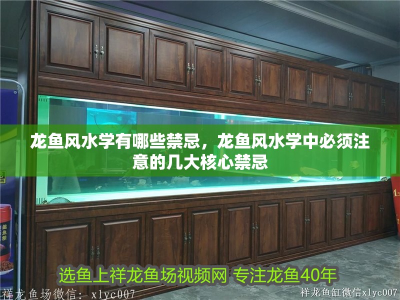 龍魚風水學有哪些禁忌，龍魚風水學中必須注意的幾大核心禁忌