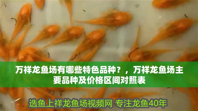 萬祥龍魚場有哪些特色品種？，萬祥龍魚場主要品種及價格區間對照表 萬祥龍魚場有哪些特色品種？，萬祥龍魚場主要品種及價格區間對照表 龍魚百科