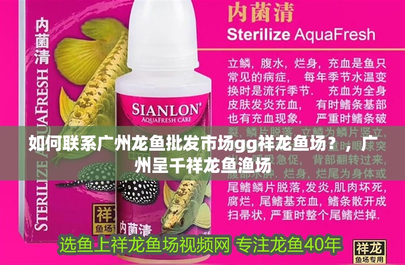 魚缸過(guò)濾器選購(gòu)指南:自制魚缸過(guò)濾器魚缸上置過(guò)濾器對(duì)于養(yǎng)魚愛(ài)好者的必備知識(shí) 如何聯(lián)系廣州龍魚批發(fā)市場(chǎng)gg祥龍魚場(chǎng)?,廣州呈千祥龍魚漁場(chǎng) 龍魚百科 如何聯(lián)系廣州龍魚批發(fā)市場(chǎng)gg祥龍魚場(chǎng)?,廣州呈千祥龍魚漁場(chǎng) 如何聯(lián)系廣州龍魚批發(fā)市場(chǎng)gg祥龍魚場(chǎng)?,廣州呈千祥龍魚漁場(chǎng) 龍魚百科