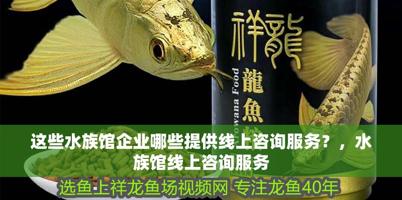 這些水族館企業哪些提供線上咨詢服務？，水族館線上咨詢服務 這些水族館企業哪些提供線上咨詢服務？，水族館線上咨詢服務 龍魚百科