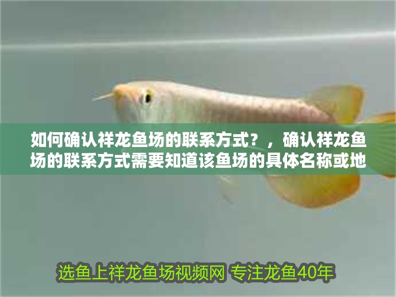 如何確認(rèn)祥龍魚場的聯(lián)系方式？，確認(rèn)祥龍魚場的聯(lián)系方式需要知道該魚場的具體名稱或地址