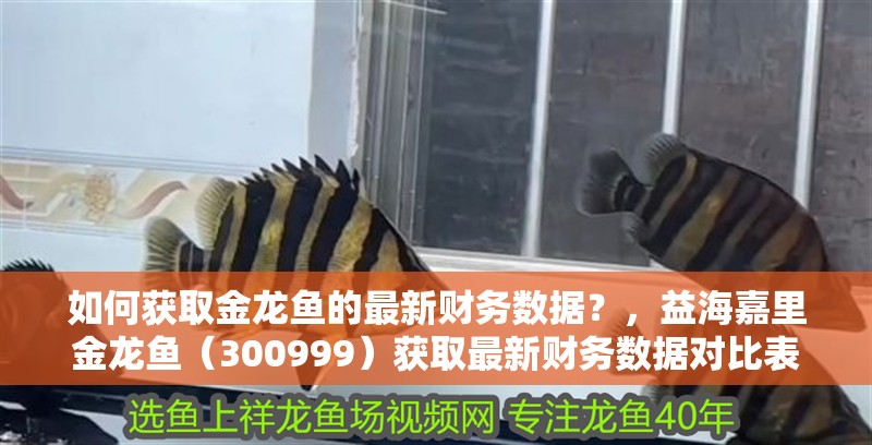 龍魚干蝦有營養嗎 如何獲取金龍魚的最新財務數據?,益海嘉里金龍魚(300999)獲取最新財務數據對比表 龍魚百科 如何獲取金龍魚的最新財務數據?,益海嘉里金龍魚(300999)獲取最新財務數據對比表 如何獲取金龍魚的最新財務數據?,益海嘉里金龍魚(300999)獲取最新財務數據對比表 龍魚百科