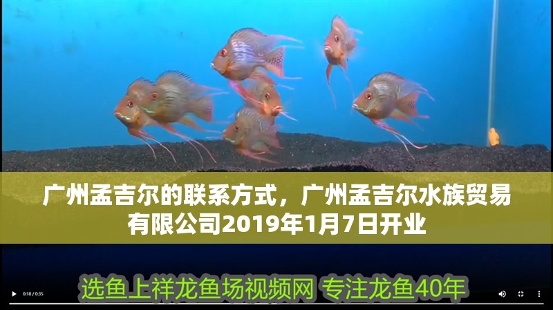 廣州孟吉爾的聯系方式，廣州孟吉爾水族貿易有限公司2019年1月7日開業