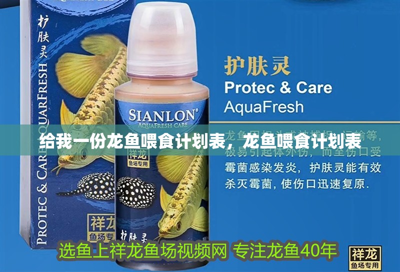 給我一份龍魚喂食計(jì)劃表，龍魚喂食計(jì)劃表 給我一份龍魚喂食計(jì)劃表，龍魚喂食計(jì)劃表 龍魚百科