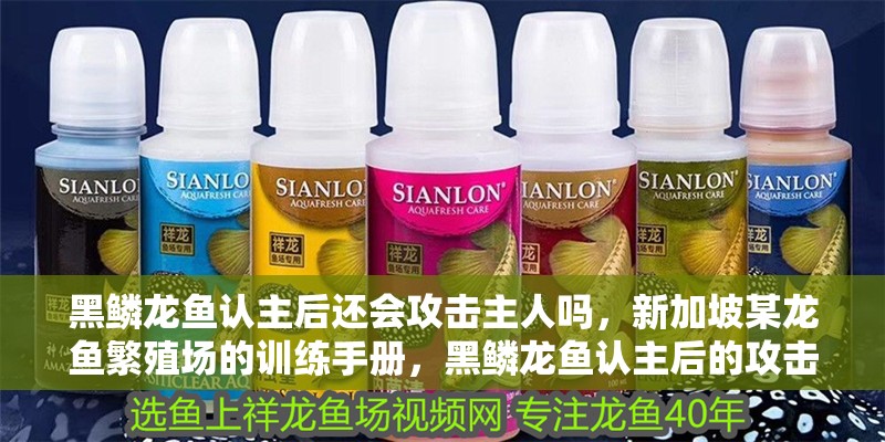 黑鱗龍魚認(rèn)主后還會攻擊主人嗎，新加坡某龍魚繁殖場的訓(xùn)練手冊，黑鱗龍魚認(rèn)主后的攻擊行為 黑鱗龍魚認(rèn)主后還會攻擊主人嗎，新加坡某龍魚繁殖場的訓(xùn)練手冊，黑鱗龍魚認(rèn)主后的攻擊行為 龍魚百科