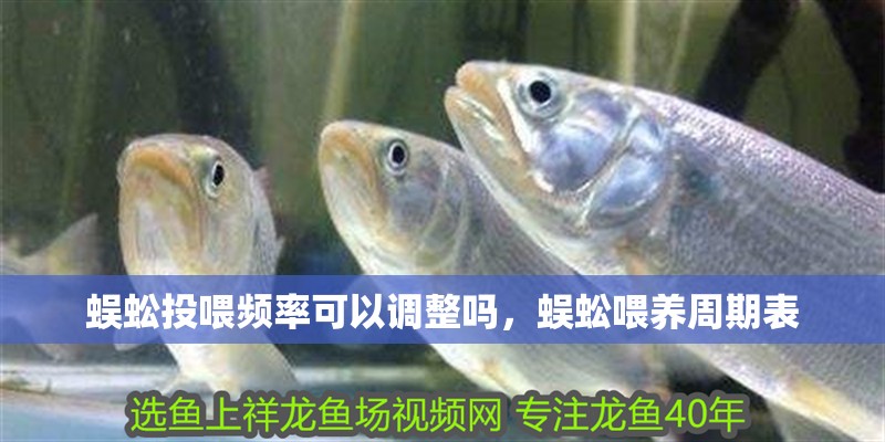 魚缸用增氧泵價格是多少:魚缸增氧機-xtrac增氧機-xtrac增氧機 蜈蚣投喂頻率可以調整嗎,蜈蚣喂養周期表 龍魚百科 蜈蚣投喂頻率可以調整嗎,蜈蚣喂養周期表 蜈蚣投喂頻率可以調整嗎,蜈蚣喂養周期表 龍魚百科