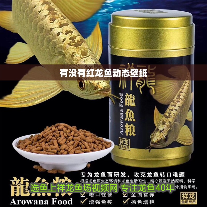 鸚鵡魚和銀龍魚混養怎樣喂食 有沒有紅龍魚動態壁紙 龍魚百科 有沒有紅龍魚動態壁紙 有沒有紅龍魚動態壁紙 龍魚百科