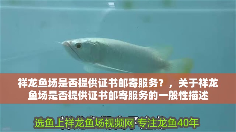 祥龍魚場是否提供證書郵寄服務？，關于祥龍魚場是否提供證書郵寄服務的一般性描述 祥龍魚場是否提供證書郵寄服務？，關于祥龍魚場是否提供證書郵寄服務的一般性描述 龍魚百科