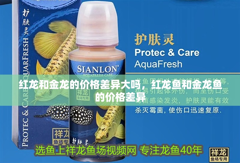 魚缸用增氧泵價格是多少:魚缸增氧機-xtrac增氧機-xtrac增氧機 紅龍和金龍的價格差異大嗎,紅龍魚和金龍魚的價格差異 龍魚百科 紅龍和金龍的價格差異大嗎,紅龍魚和金龍魚的價格差異 紅龍和金龍的價格差異大嗎,紅龍魚和金龍魚的價格差異 龍魚百科