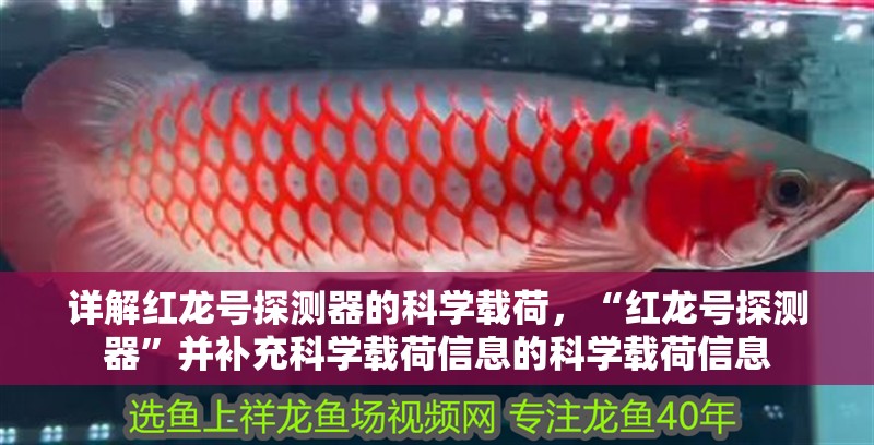 詳解紅龍?zhí)柼綔y(cè)器的科學(xué)載荷，“紅龍?zhí)柼綔y(cè)器”并補(bǔ)充科學(xué)載荷信息的科學(xué)載荷信息 詳解紅龍?zhí)柼綔y(cè)器的科學(xué)載荷，“紅龍?zhí)柼綔y(cè)器”并補(bǔ)充科學(xué)載荷信息的科學(xué)載荷信息 龍魚百科