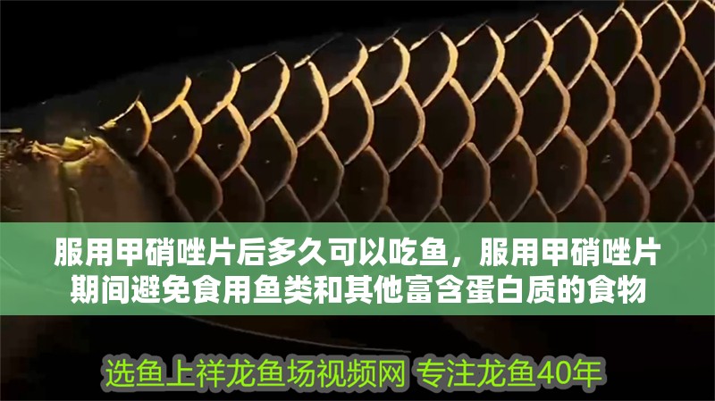 給大魚缸換水的作文:體驗給大魚缸換水的樂趣:體驗給大魚缸換水:給大魚缸換水的作文 服用甲硝唑片后多久可以吃魚,服用甲硝唑片期間避免食用魚類和其他富含蛋白質的食物 龍魚百科 服用甲硝唑片后多久可以吃魚,服用甲硝唑片期間避免食用魚類和其他富含蛋白質的食物 服用甲硝唑片后多久可以吃魚,服用甲硝唑片期間避免食用魚類和其他富含蛋白質的食物 龍魚百科