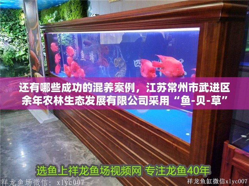 紅龍魚用黃燈烤有用嗎 還有哪些成功的混養案例,江蘇常州市武進區余年農林生態發展有限公司采用“魚-貝-草” 龍魚百科 還有哪些成功的混養案例,江蘇常州市武進區余年農林生態發展有限公司采用“魚-貝-草” 還有哪些成功的混養案例,江蘇常州市武進區余年農林生態發展有限公司采用“魚-貝-草” 龍魚百科