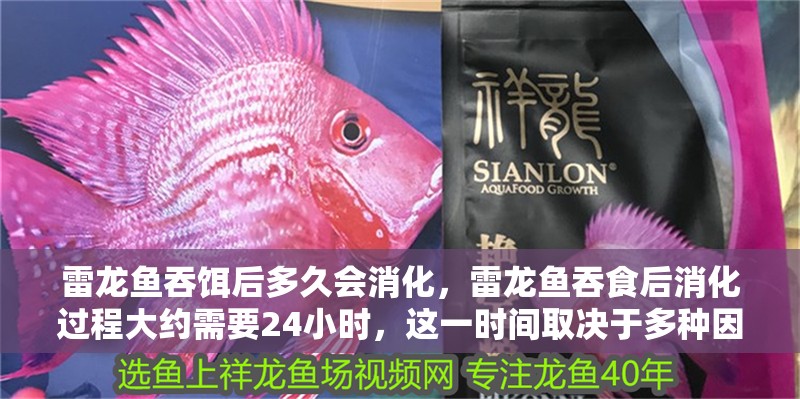 雷龍魚吞餌后多久會消化，雷龍魚吞食后消化過程大約需要24小時，這一時間取決于多種因素 雷龍魚吞餌后多久會消化，雷龍魚吞食后消化過程大約需要24小時，這一時間取決于多種因素 龍魚百科