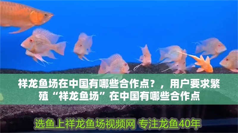 祥龍魚場在中國有哪些合作點？，用戶要求繁殖“祥龍魚場”在中國有哪些合作點 祥龍魚場在中國有哪些合作點？，用戶要求繁殖“祥龍魚場”在中國有哪些合作點 龍魚百科