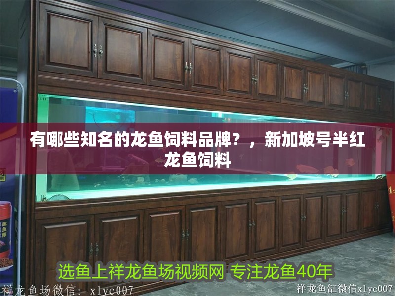 龍魚干蝦有營養嗎 有哪些知名的龍魚飼料品牌?,新加坡號半紅龍魚飼料 龍魚百科 有哪些知名的龍魚飼料品牌?,新加坡號半紅龍魚飼料 有哪些知名的龍魚飼料品牌?,新加坡號半紅龍魚飼料 龍魚百科