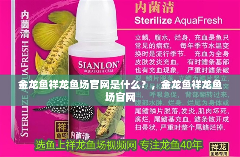 金龍魚祥龍魚場(chǎng)官網(wǎng)是什么？，金龍魚祥龍魚場(chǎng)官網(wǎng) 金龍魚祥龍魚場(chǎng)官網(wǎng)是什么？，金龍魚祥龍魚場(chǎng)官網(wǎng) 龍魚百科