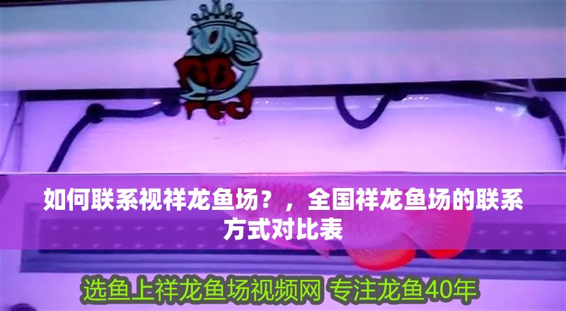 魚缸過濾器選購指南:自制魚缸過濾器魚缸上置過濾器對于養魚愛好者的必備知識 如何聯系視祥龍魚場?,全國祥龍魚場的聯系方式對比表 龍魚百科 如何聯系視祥龍魚場?,全國祥龍魚場的聯系方式對比表 如何聯系視祥龍魚場?,全國祥龍魚場的聯系方式對比表 龍魚百科