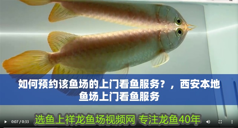 如何預約該魚場的上門看魚服務？，<strong><mark>西安</mark></strong>本地魚場上門看魚服務