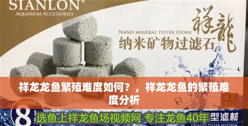 龍魚干蝦有營養(yǎng)嗎 祥龍龍魚繁殖難度如何?,祥龍龍魚的繁殖難度分析 龍魚百科 祥龍龍魚繁殖難度如何?,祥龍龍魚的繁殖難度分析 祥龍龍魚繁殖難度如何?,祥龍龍魚的繁殖難度分析 龍魚百科