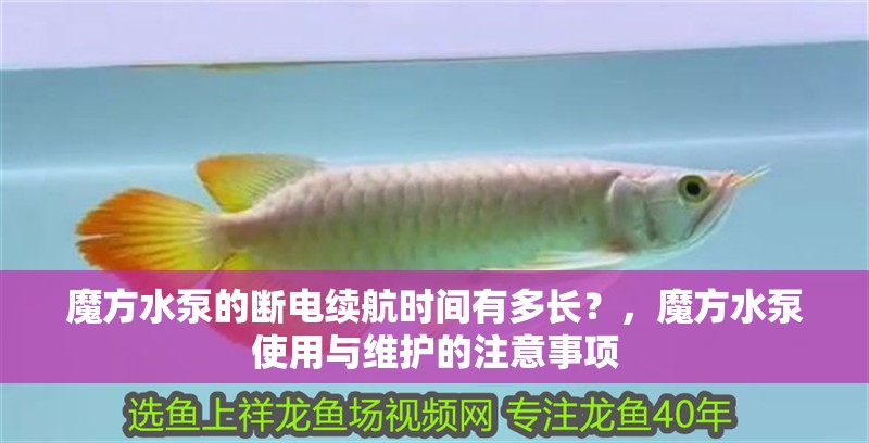 魚缸用增氧泵價格是多少:魚缸增氧機-xtrac增氧機-xtrac增氧機 魔方水泵的斷電續(xù)航時間有多長?,魔方水泵使用與維護的注意事項 龍魚百科 魔方水泵的斷電續(xù)航時間有多長?,魔方水泵使用與維護的注意事項 魔方水泵的斷電續(xù)航時間有多長?,魔方水泵使用與維護的注意事項 龍魚百科