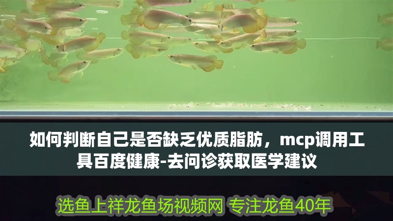 如何判斷自己是否缺乏優質脂肪，mcp調用工具百度健康-去問診獲取醫學建議 如何判斷自己是否缺乏優質脂肪，mcp調用工具百度健康-去問診獲取醫學建議 龍魚百科
