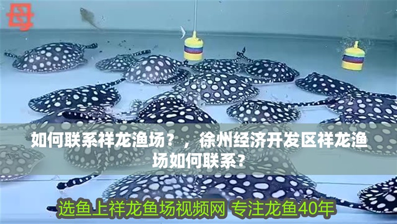 如何聯系祥龍漁場？，<strong><mark>徐州</mark></strong>經濟開發區祥龍漁場如何聯系？