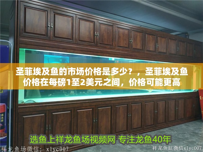 圣菲埃及魚的市場價格是多少？，圣菲埃及魚價格在每磅1至2美元之間，價格可能更高 圣菲埃及魚的市場價格是多少？，圣菲埃及魚價格在每磅1至2美元之間，價格可能更高 龍魚百科