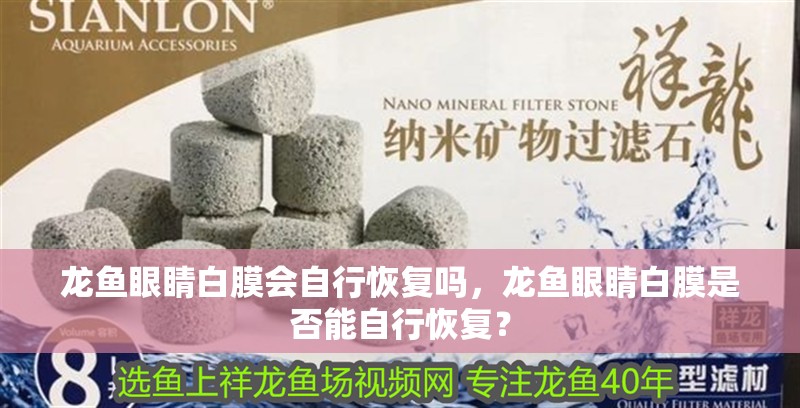 龍魚眼睛白膜會(huì)自行恢復(fù)嗎，龍魚眼睛白膜是否能自行恢復(fù)？