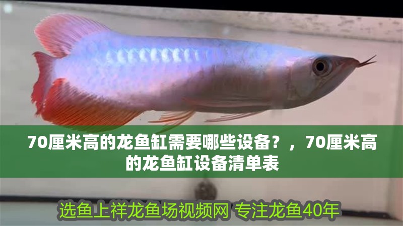 70厘米高的龍魚缸需要哪些設備？，70厘米高的龍魚缸設備清單表 70厘米高的龍魚缸需要哪些設備？，70厘米高的龍魚缸設備清單表 龍魚百科