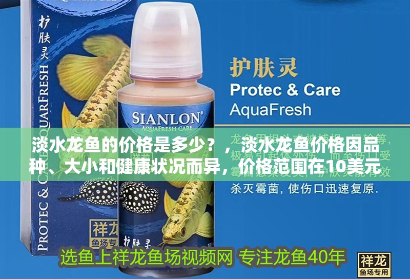 淡水龍魚的價(jià)格是多少？，淡水龍魚價(jià)格因品種、大小和健康狀況而異，價(jià)格范圍在10美元之間 淡水龍魚的價(jià)格是多少？，淡水龍魚價(jià)格因品種、大小和健康狀況而異，價(jià)格范圍在10美元之間 龍魚百科