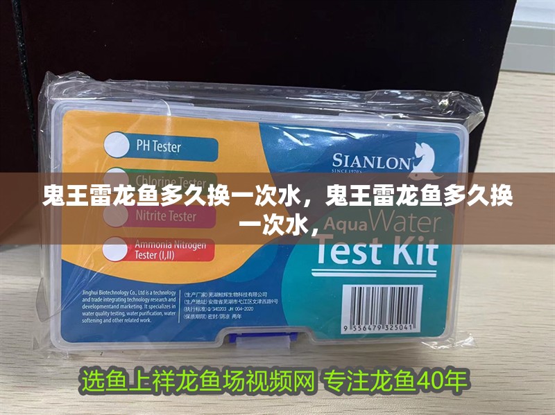 鬼王雷龍魚多久換一次水，鬼王雷龍魚多久換一次水， 鬼王雷龍魚多久換一次水，鬼王雷龍魚多久換一次水， 龍魚百科