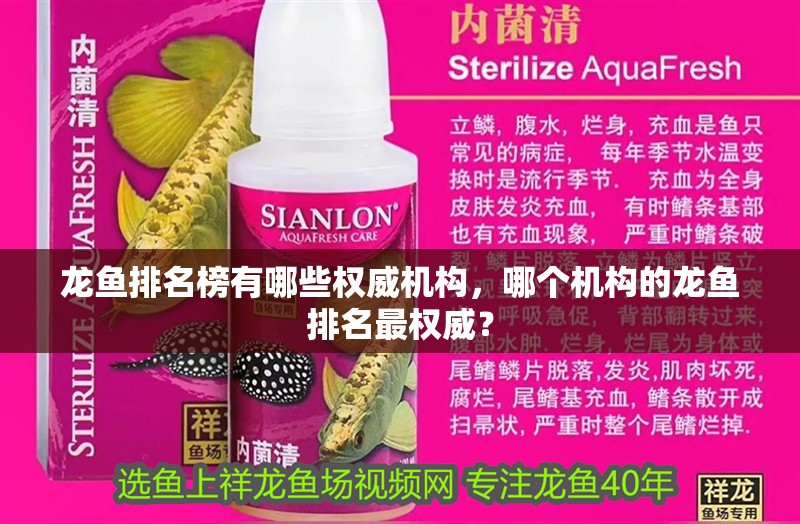 魚缸過濾器選購指南:自制魚缸過濾器魚缸上置過濾器對于養魚愛好者的必備知識 龍魚排名榜有哪些權威機構,哪個機構的龍魚排名最權威? 龍魚百科 龍魚排名榜有哪些權威機構,哪個機構的龍魚排名最權威? 龍魚排名榜有哪些權威機構,哪個機構的龍魚排名最權威? 龍魚百科