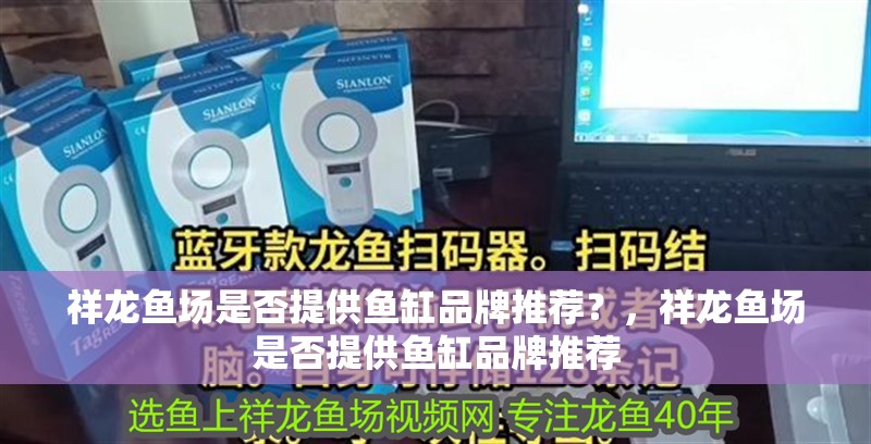 祥龍魚場是否提供魚缸品牌推薦？，祥龍魚場是否提供魚缸品牌推薦 祥龍魚場是否提供魚缸品牌推薦？，祥龍魚場是否提供魚缸品牌推薦 龍魚百科