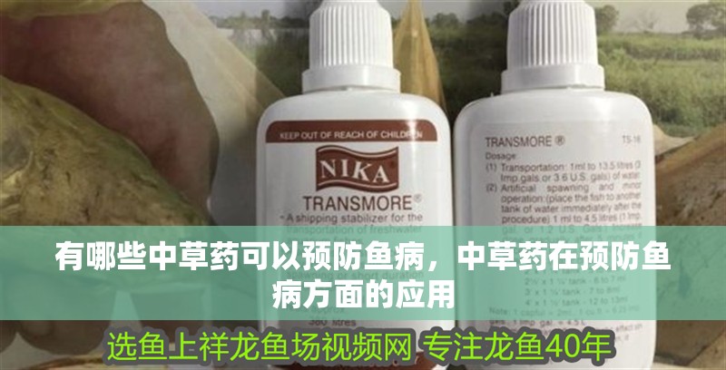 有哪些中草藥可以預防魚病，中草藥在預防魚病方面的應用 有哪些中草藥可以預防魚病，中草藥在預防魚病方面的應用 龍魚百科