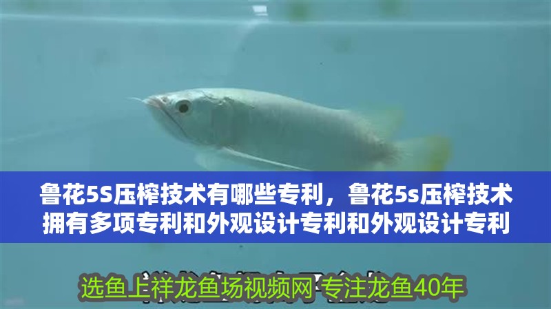 魚缸過濾器選購指南:自制魚缸過濾器魚缸上置過濾器對于養魚愛好者的必備知識 魯花5S壓榨技術有哪些專利,魯花5s壓榨技術擁有多項專利和外觀設計專利和外觀設計專利 龍魚百科 魯花5S壓榨技術有哪些專利,魯花5s壓榨技術擁有多項專利和外觀設計專利和外觀設計專利 魯花5S壓榨技術有哪些專利,魯花5s壓榨技術擁有多項專利和外觀設計專利和外觀設計專利 龍魚百科