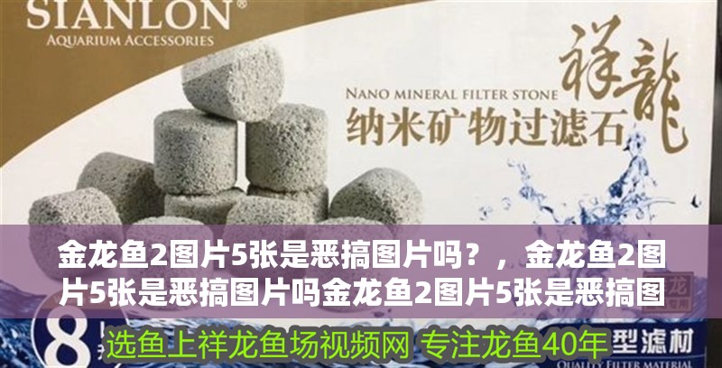 金龍魚2圖片5張是惡搞圖片嗎？，金龍魚2圖片5張是惡搞圖片嗎金龍魚2圖片5張是惡搞圖片嗎 金龍魚2圖片5張是惡搞圖片嗎？，金龍魚2圖片5張是惡搞圖片嗎金龍魚2圖片5張是惡搞圖片嗎 龍魚百科