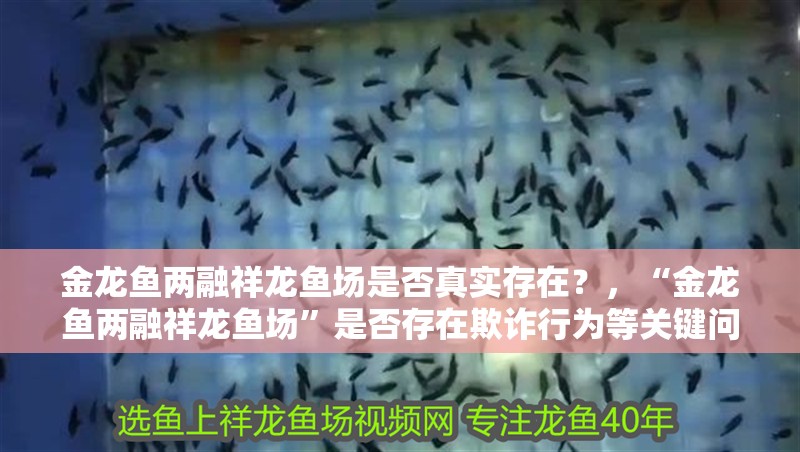 金龍魚兩融祥龍魚場是否真實存在？，“金龍魚兩融祥龍魚場”是否存在欺詐行為等關鍵問題 金龍魚兩融祥龍魚場是否真實存在？，“金龍魚兩融祥龍魚場”是否存在欺詐行為等關鍵問題 龍魚百科